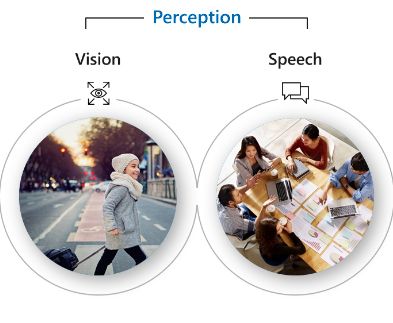 AI and perception