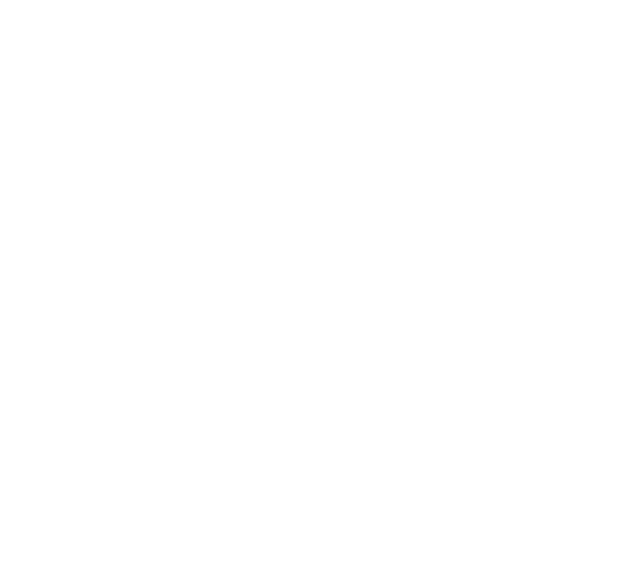 White Bow and arrow target