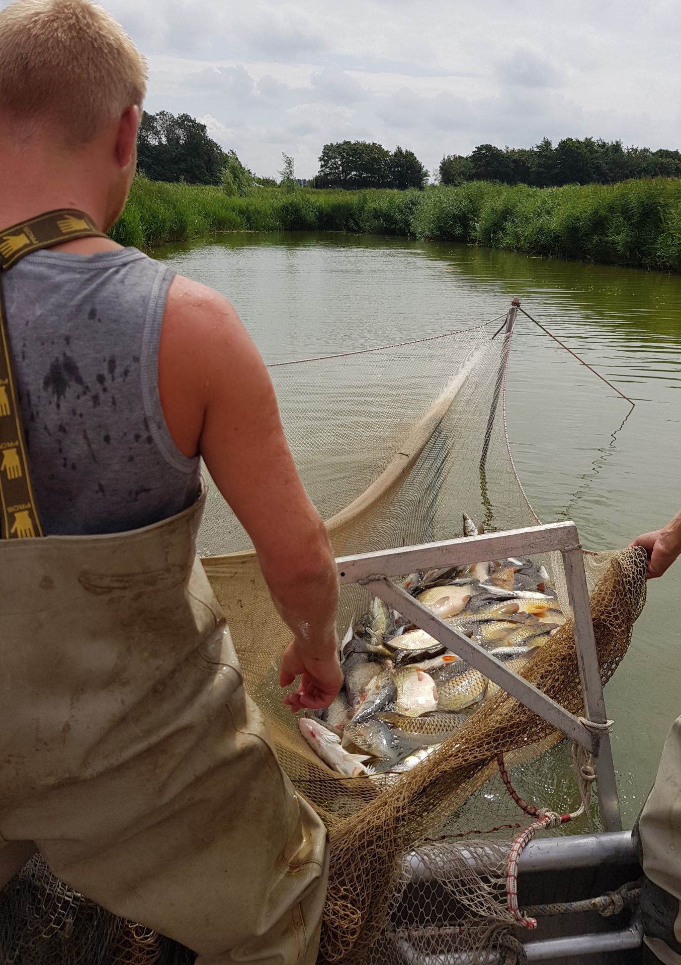 Man op boot met visnet vol vis