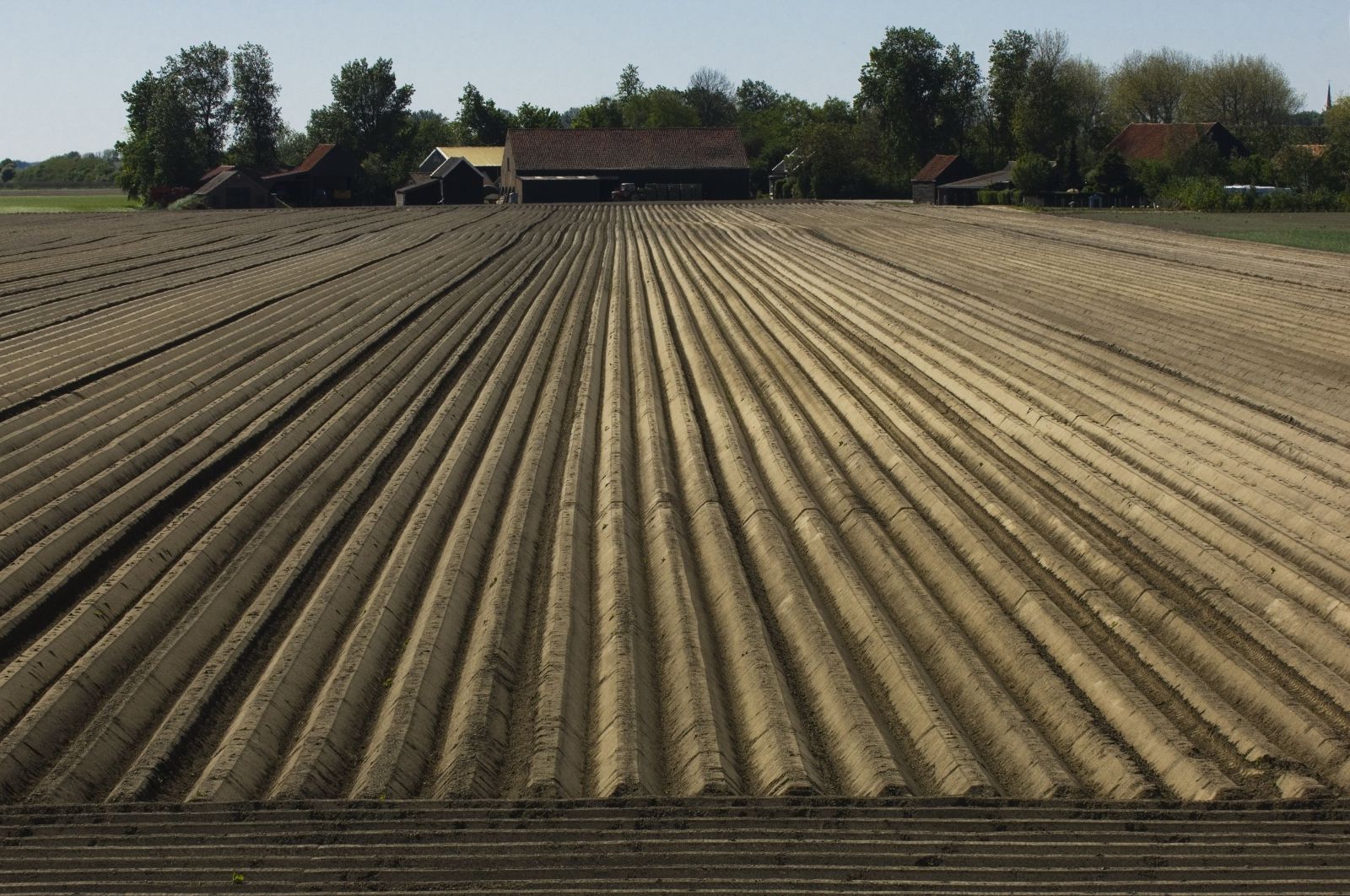 Ribbels van nog kaal aardappelveld