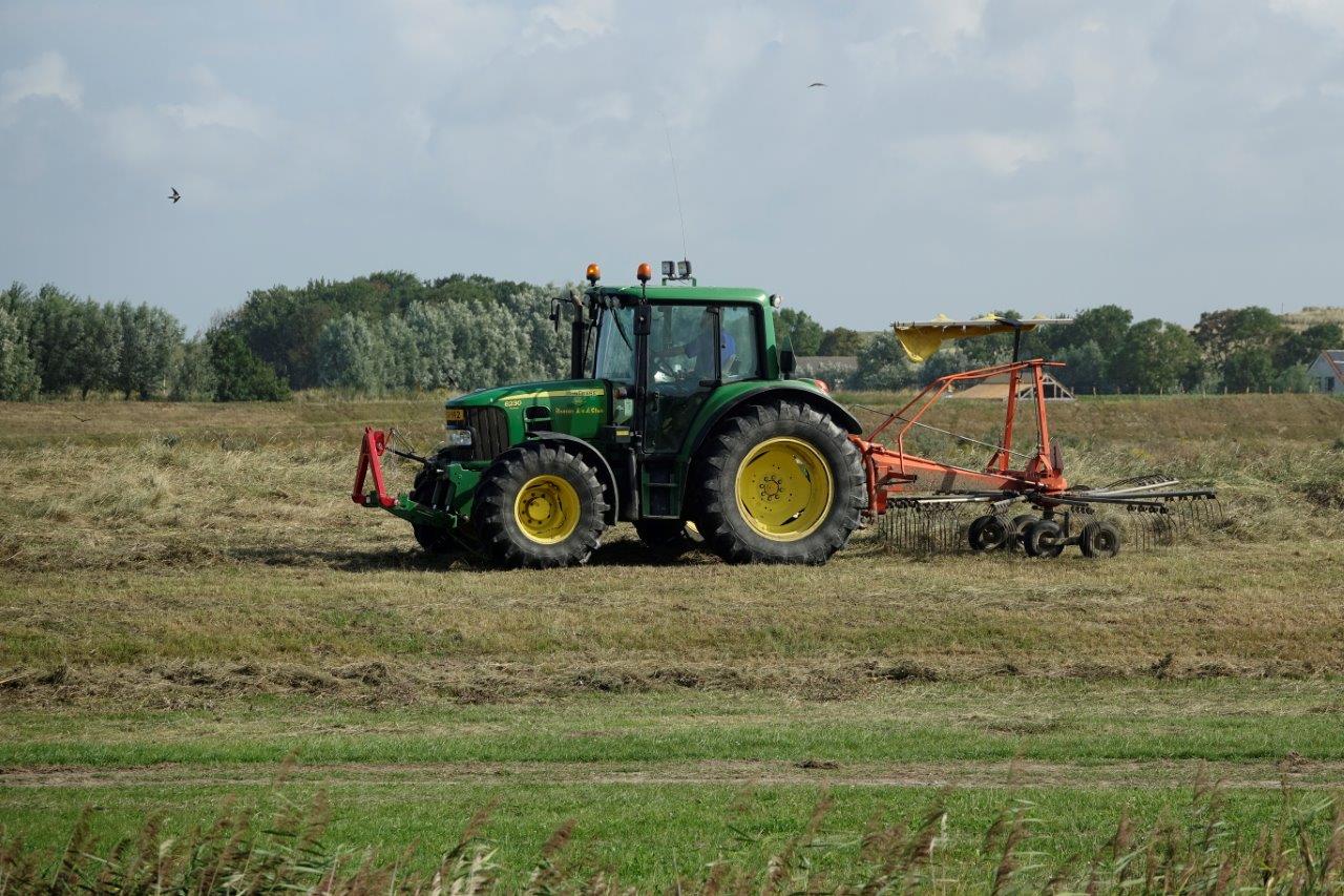 Maaien in Waterdunen
